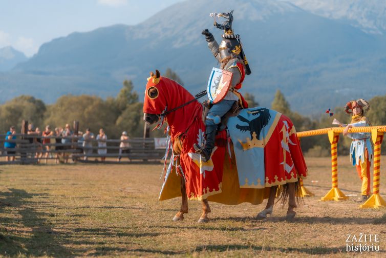 Jazdec na koni v historickom kostýme s prilbou a maľovaným štítom