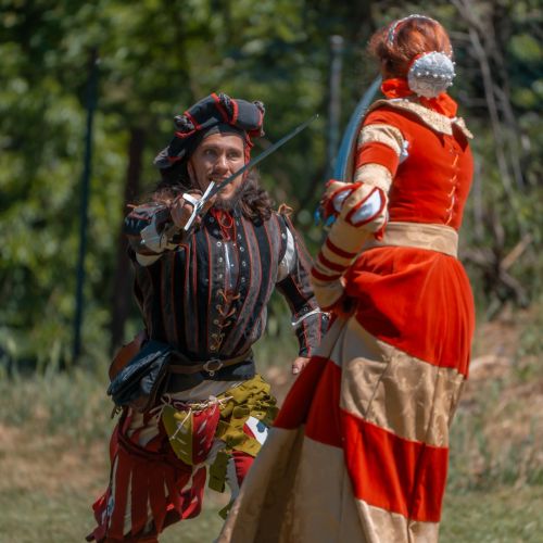 Šermiari, podujatie Rytieri na Devíne, ktoré organizuje skupina TOSTABUR